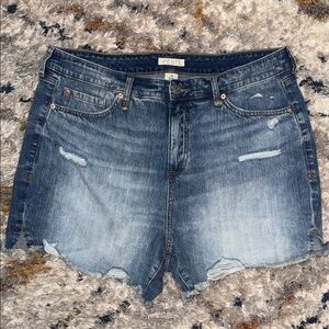 Torrid Festi 5'' High-Rise Relaxed Short